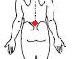 body-chart1